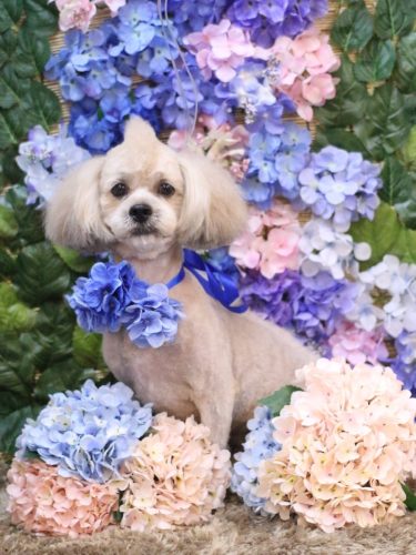 20250603イザくん